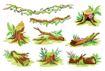 Moss on trees. Forest fungus on tree bark wood hollow stump, cartoon lichen jungle vegetation texture in log hole surface, swamp mosses leaf mushroom, neoteric vector illustration - obrazy, fototapety, plakaty