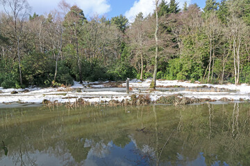Reflections in Stover Lake, Devon in winter