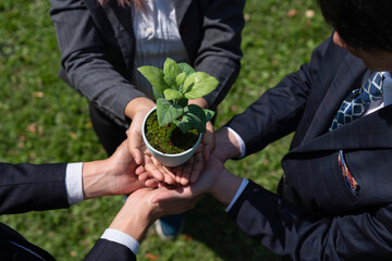 Business people hold plant or sprout together in unity and teamwork concept of eco company...