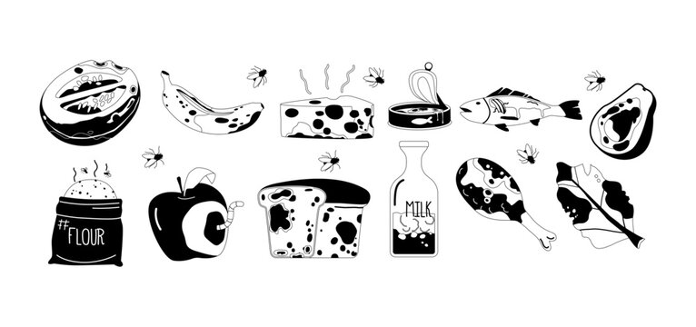Spoiled Food Black and White Icons Set. Rotting Fruits, Moldy Bread, Rancid Meat, And Curdled Dairy, Vector Illustration