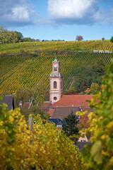 Weinort Riquewihr, Elsass, in herbstlichen Weinbergen