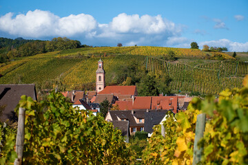 Weinort Riquewihr, Elsass, Panorama in herbstlichen Weinbergen