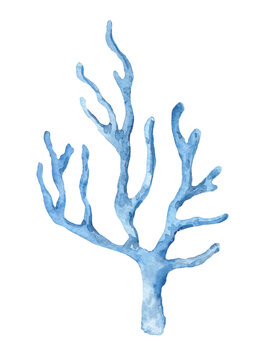 Watercolor Coral. Hand drawn illustration of reef on isolated white background. Exotic marine flora. Wild underwater life