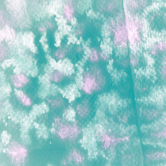 Illustration Brush Animal. Turquoise Dotted