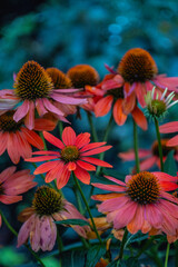 Discover the secret behind Seattle's enchanting allure. Take in the captivating colors and soothing...