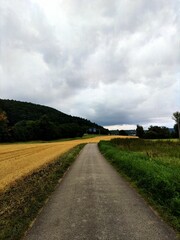 Fototapeta na wymiar Vertical shot of an empty road in an endless field on a cloudy day