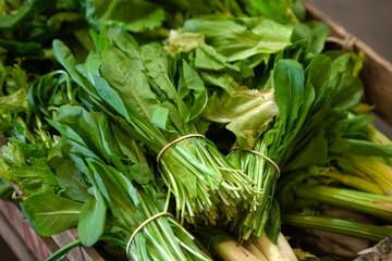 Obraz premium Bunch of spinach