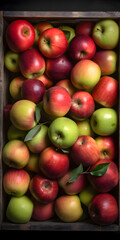 Fresh red and green apples in a wooden box. Toned.