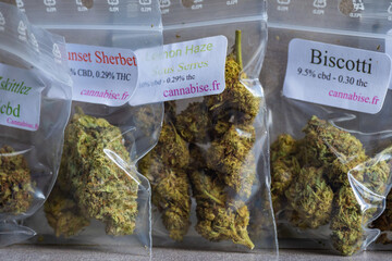 A variety of CBD strains Flowers and buds assorted in plastic bags
