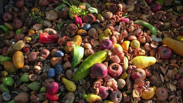 Compost pit. Food Waste. Compostable food scraps. Composting. Bio-waste recycling. Compost bin with organic waste. Bio food waste composting bin background