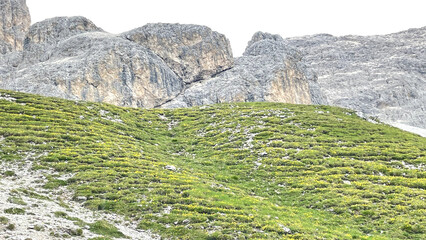 landscape in the dolomites, Italy