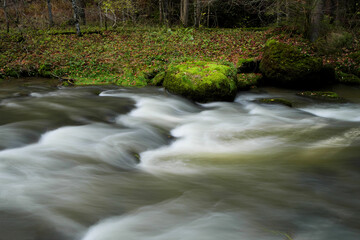 Wildbach im Allg&auml;u.