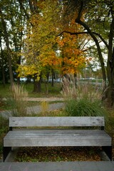 Vertical of a grey wooden bench in a tranquil park with autumn foliage, fall colors
