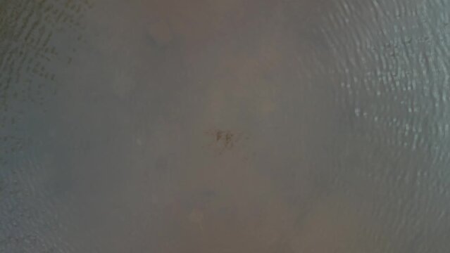 Paignton, Torbay, South Devon, England: DRONE VIEWS: An out-of-focus drone hovers low over Clennon Lake's surface creating a circular, rippling effect on the water's surface.