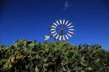 Fototapeta premium windmill in mallorca mediterranean island