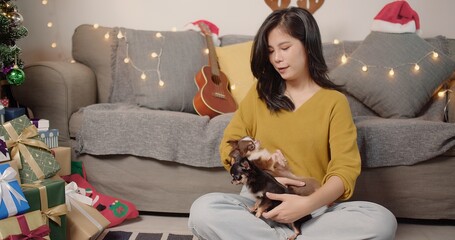 happy young Asian woman playing with chihuahua dogs at home, Gifts and Christmas decorations against the garland lights background. New Year and Christmas concept. Waiting for the holiday.