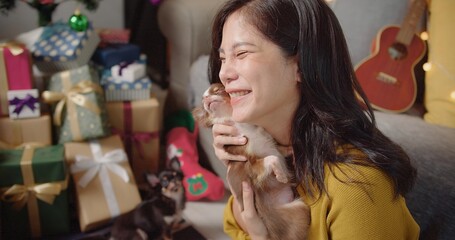 happy young Asian woman playing and kiss cute chihuahua dogs celebrate at home, Gifts and Christmas...