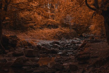 Autumn Magic in Lesidren