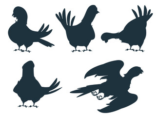 Bird silhouette decorative shadow isolated set. Vector flat graphic design illustration