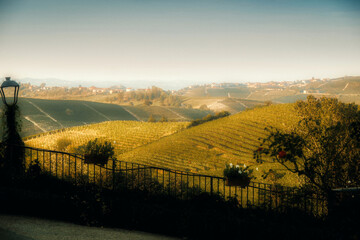 Naklejka premium landscapes of the Piedmontese Langhe at sunset with the colors of autumn near Alba in the period of the end of the 2023 harvest