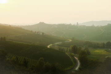 landscapes of the Piedmontese Langhe at sunset with the colors of autumn near Alba in the period of...