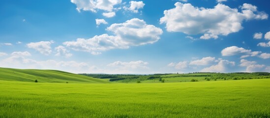 Beautiful countryside in Ukraine Europe Summertime nature photo of lush green pastures and clear blue sky Explore Earth s beauty Copy space image Place for adding text or design - Powered by Adobe