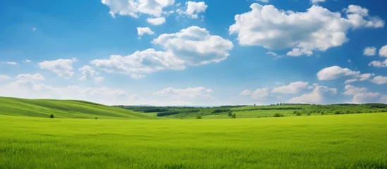 Zelfklevend Fotobehang Weide Beautiful countryside in Ukraine Europe Summertime nature photo of lush green pastures and clear blue sky Explore Earth s beauty Copy space image Place for adding text or design