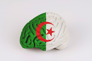 On a white background, a model of the brain with a picture of a flag - Algeria