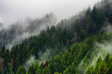 Cinematic clouds forming above the Black forest in Germany