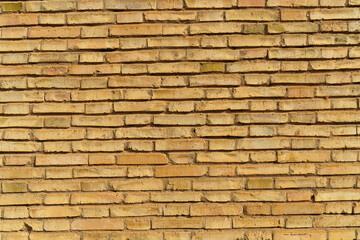 Old brick wall background. Grunge