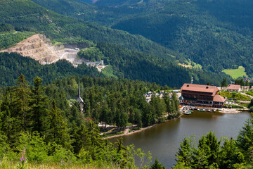 Fototapeta premium Flowers blooming at lake in the Black forest Germany during summertime