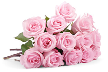 Fototapeta premium Pink bunch bouquet of roses, isolated on transparent background, png file