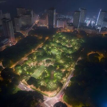 Aerial view of the city at night in Shanghai. China.