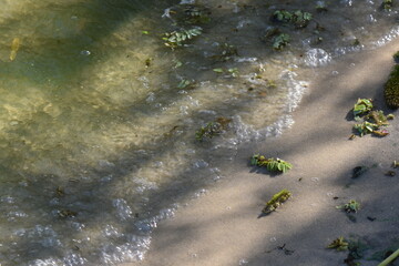 water drops on the grass