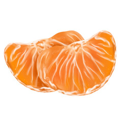 Set of fresh oranges. Orange fruit isolated on transparent background.  illustration for design and print