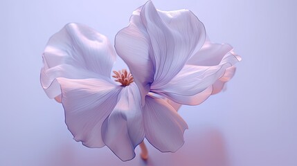 Obraz premium a close up of a purple flower on a blue background with a blurry image of the center of the flower.