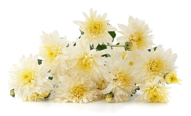 Bouquet of white chrysanthemums.