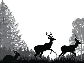 two deers near dark grey forest
