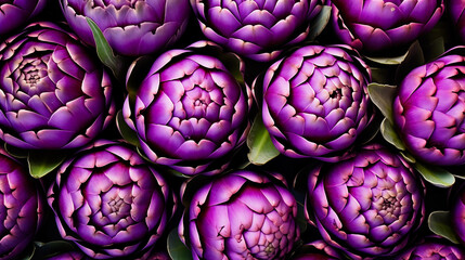 Fototapeta premium Purple artichoke flower background. Close up. Top view. 