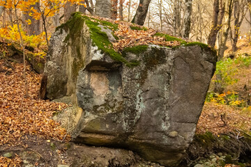 A huge stone in the middle o the forest. Autumn leaves on it