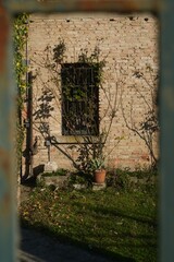 Muratura in mattoni con finestra e vegetazione rampicante