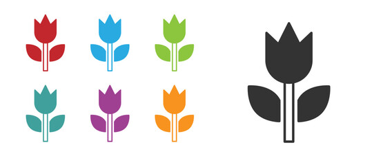 Black Photo mode macro icon isolated on white background. Set icons colorful. Vector