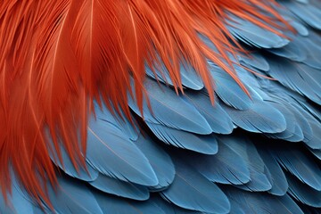 Naklejka premium A close-up of a chicken’s feathers, showcasing the texture and colors