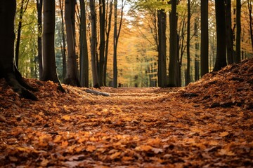 A carpet of fallen autumn leaves on a slight incline in a forest