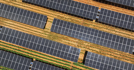 Aerial view, solar panels above crops ensuring fresh vegetables for the city