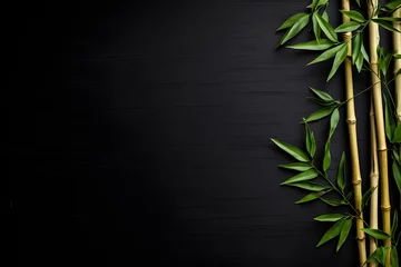  green bamboo shoots on a black textured background with space to copy text © Андрей Знаменский