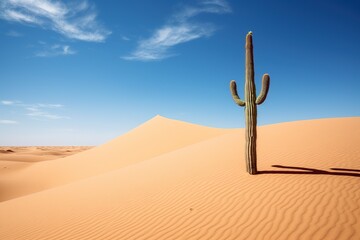 A lone cactus, standing defiantly against the backdrop of sweeping sand dunes