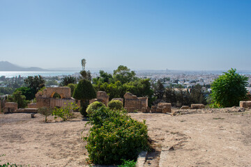 Fototapeta na wymiar Carthage, great city of antiquity on the north coast of Africa, now a residential suburb of the city of Tunis, Tunisia
