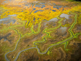 Tidal flats along Cook Inlet; near Anchorage, Alaska