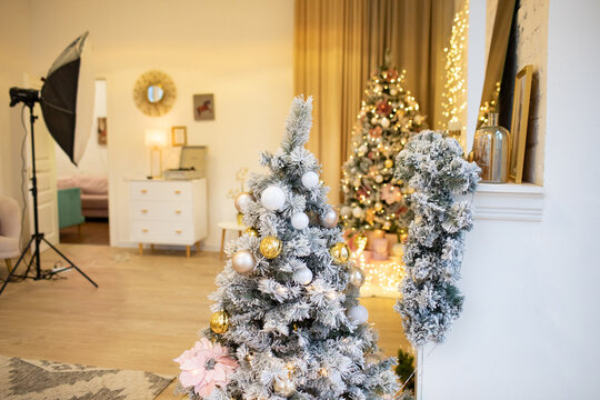 Photo studio New Year's decor